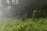 Farm Property for sale in Breathitt County, Kentucky