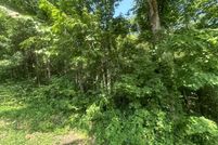 Property for sale in Clay County, Tennessee