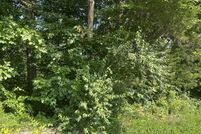 Property for sale in Clay County, Tennessee