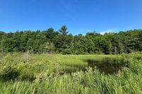 Timberland Property for sale in Saint Lawrence County, New York