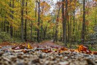 Property for sale in Monongalia County, West Virginia