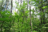 Farm Property for sale in Cook County, Minnesota