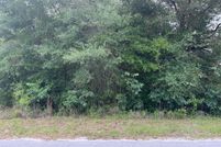 Undeveloped Land for sale in Marion County, Florida