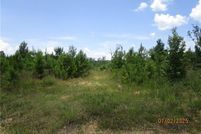 Ranch Property for sale in Grant Parish, Louisiana