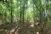 Farm Property for sale in Geneva County, Alabama