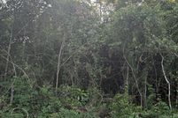 Property for sale in Bulloch County, Georgia