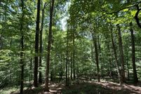 Farm Property for sale in Gilmer County, Georgia