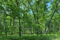 Farm Property for sale in Lake County, Michigan
