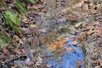 Property for sale in Botetourt County, Virginia