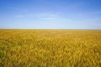 Farm Property for sale in Kearny County, Kansas