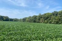 Hunting Land for sale in Fayette County, Illinois