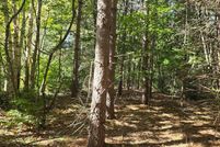Undeveloped Land for sale in Houghton County, Michigan