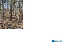 Undeveloped Land for sale in Talladega County, Alabama