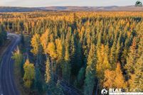 Undeveloped Land for sale in Fairbanks North Star Borough, Alaska