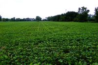 Recreational Property for sale in Saginaw County, Michigan