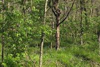 Farm Property for sale in Jefferson County, Missouri