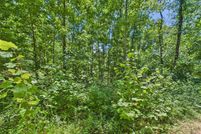 Timberland Property for sale in Wayne County, Missouri