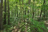 Recreational Property for sale in Pickens County, Georgia