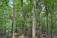 Farm Property for sale in Claiborne County, Mississippi