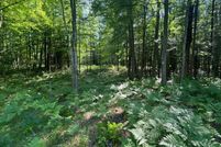 Farm Property for sale in Alcona County, Michigan