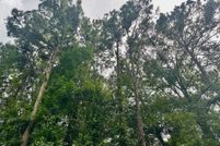 Ranch Property for sale in Shelby County, Texas