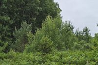 Ranch Property for sale in Wexford County, Michigan