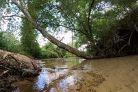 Ranch Property for sale in Marion County, Mississippi