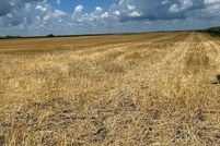Farm Property for sale in Marshall County, Illinois