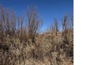 Commercial Property for sale in Presidio County, Texas