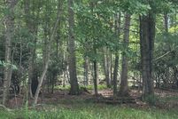Undeveloped Land for sale in Grayson County, Virginia