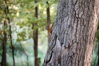 Residential Property for sale in Meeker County, Minnesota