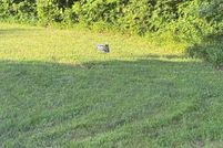 Ranch Property for sale in Prince William County, Virginia