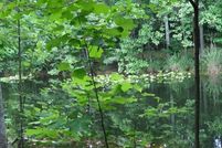 Farm Property for sale in Kershaw County, South Carolina