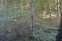 Farm Property for sale in Claiborne County, Tennessee