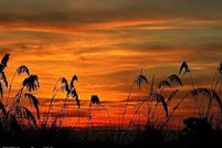 Recreational Property for sale in Indian River County, Florida