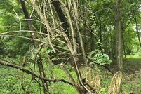 Ranch Property for sale in Preston County, West Virginia