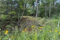 Undeveloped Land for sale in Sequoyah County, Oklahoma