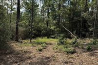 Timberland Property for sale in Jasper County, Texas