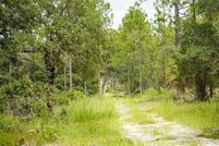 Property for sale in Levy County, Florida