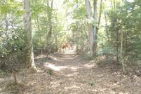 Undeveloped Land for sale in Carter County, Tennessee
