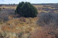 Residential Property for sale in Dolores County, Colorado