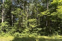 Commercial Property for sale in Osceola County, Michigan