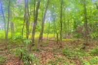 Property for sale in Sherburne County, Minnesota