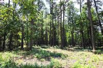 Undeveloped Land for sale in Polk County, Arkansas