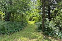 Undeveloped Land for sale in Greene County, New York