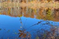 Farm Property for sale in Litchfield County, Connecticut