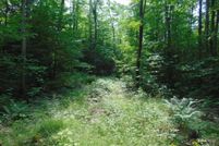 Property for sale in Luce County, Michigan
