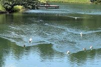 Property for sale in Saint Clair County, Alabama