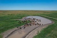 Undeveloped Land for sale in Gray County, Kansas