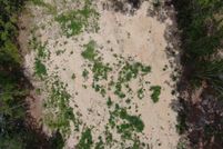 Undeveloped Land for sale in Calhoun County, South Carolina